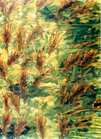 Oil-019